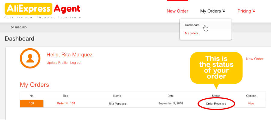 How to Check your Order Status? - AliExpress Agent